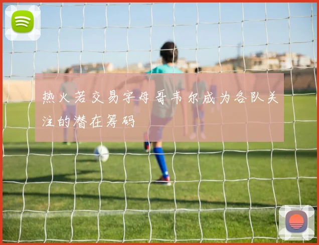 热火若交易字母哥韦尔成为各队关注的潜在筹码