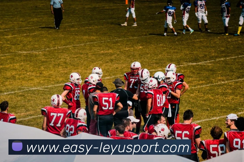 多媒体互动体验